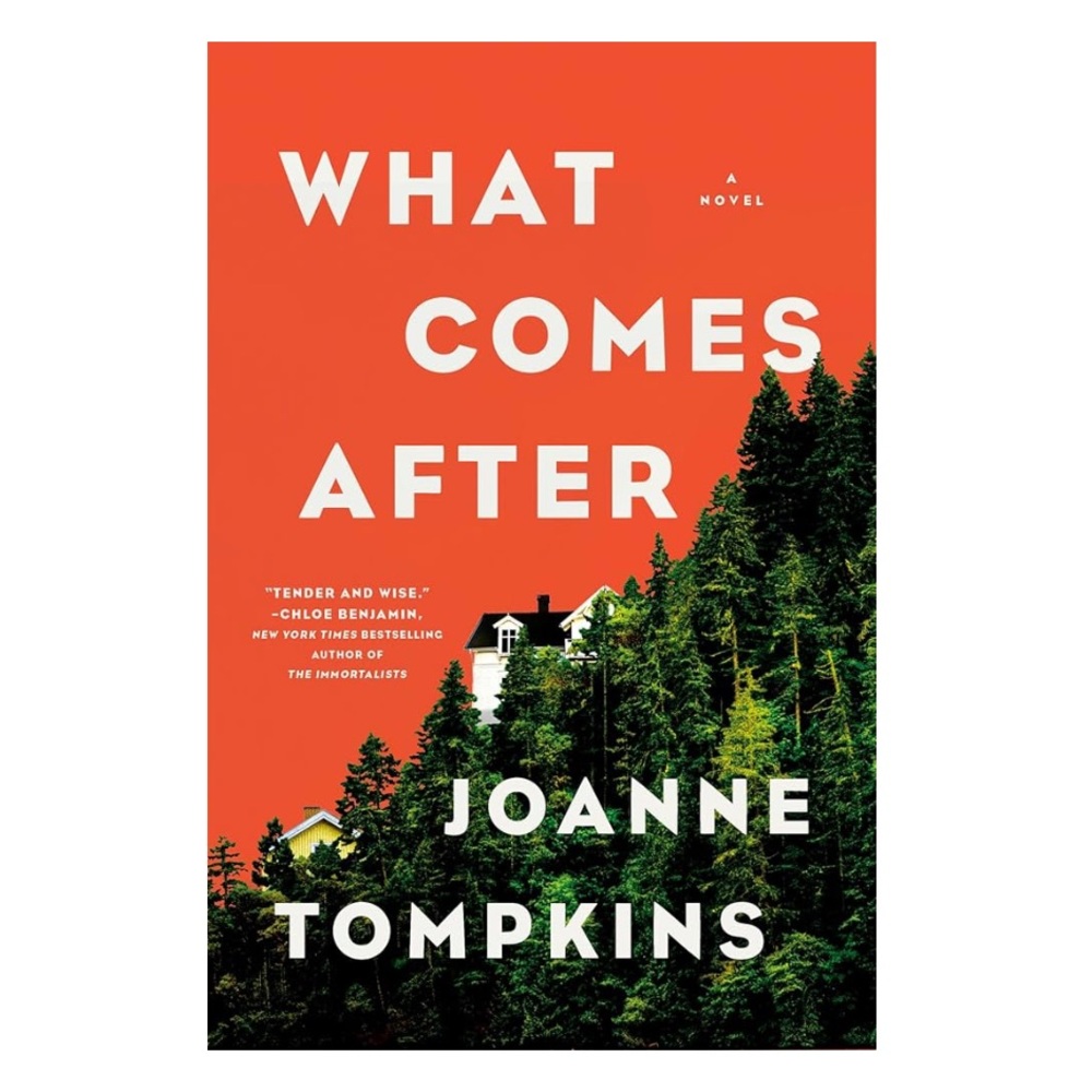 NEW HARDCOVER! What Comes After by Joanne Tompkins Book
